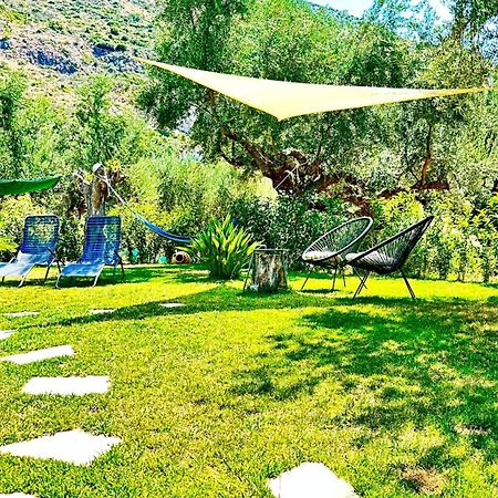 The Secret Garden At Villa Georgia Каламата Екстер'єр фото